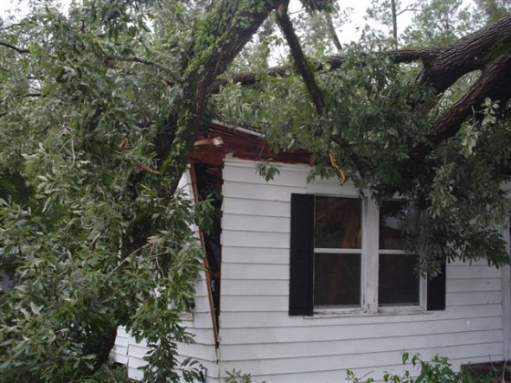Melanie Moore of Alexandria, La. sent this image: "This oak tree fell on my mother's house during the high winds and rains experienced during Hurricane Rita."